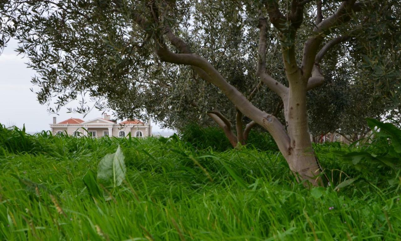 Villa Dimitri - Gardenside Souterrain Alexandroupoli Exterior photo